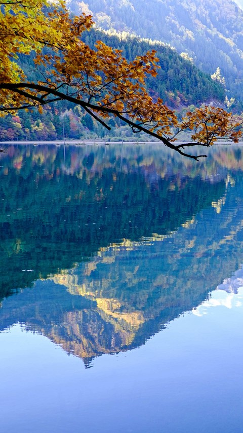 mirror