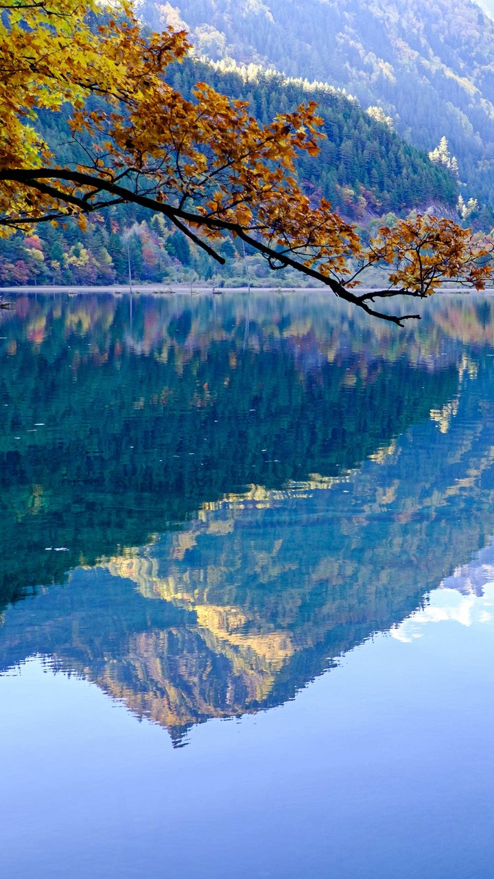 mirror
