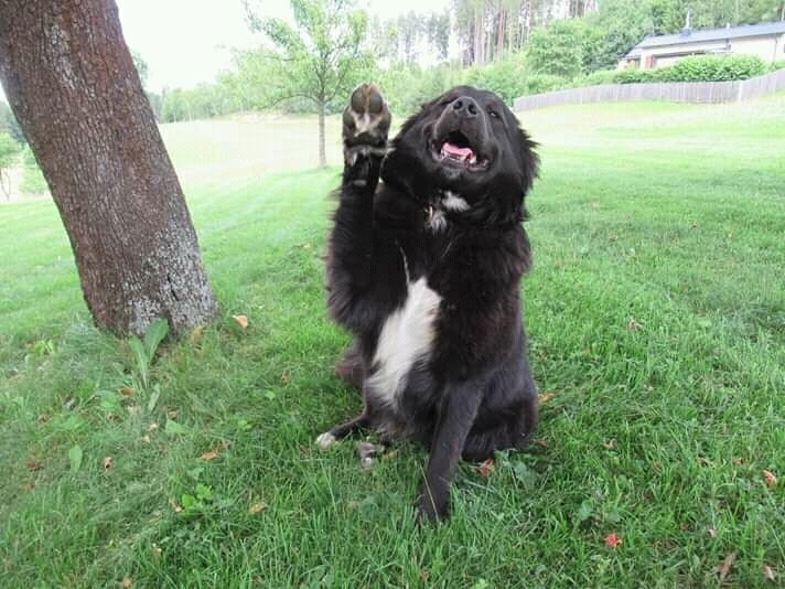 Bella says Hi