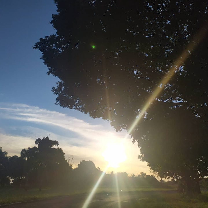 Sol