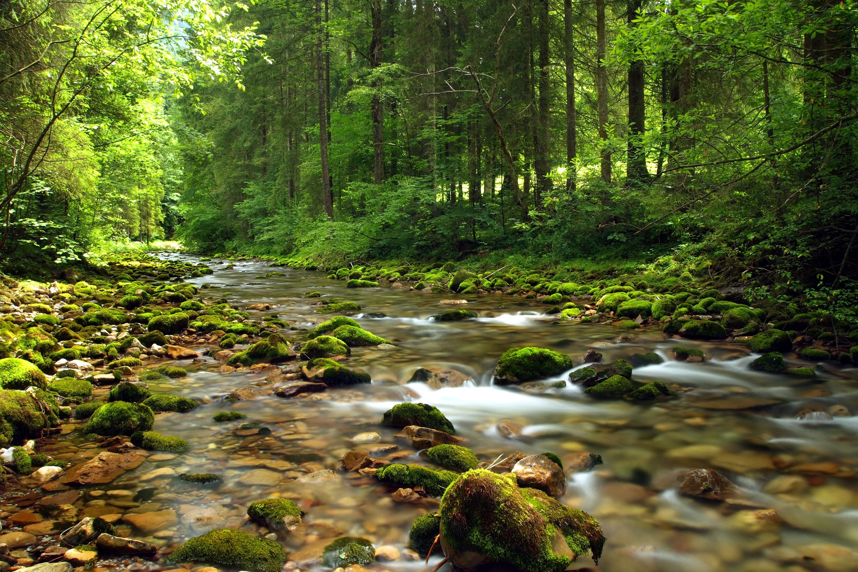 тапети nature, watercourse