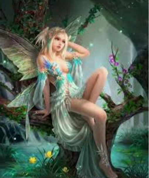 fairy_forest