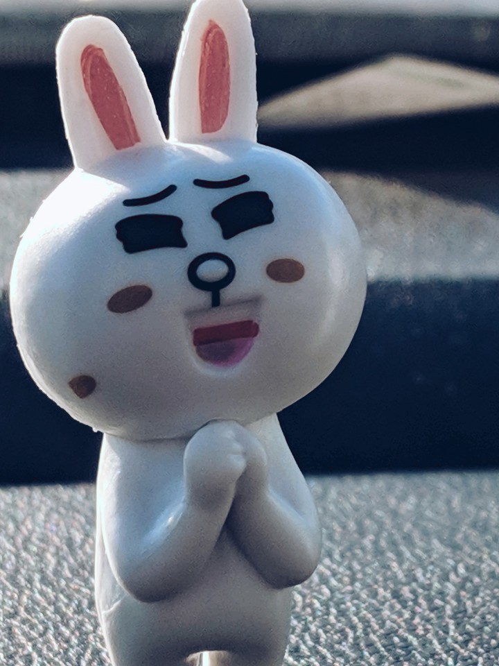 Toy