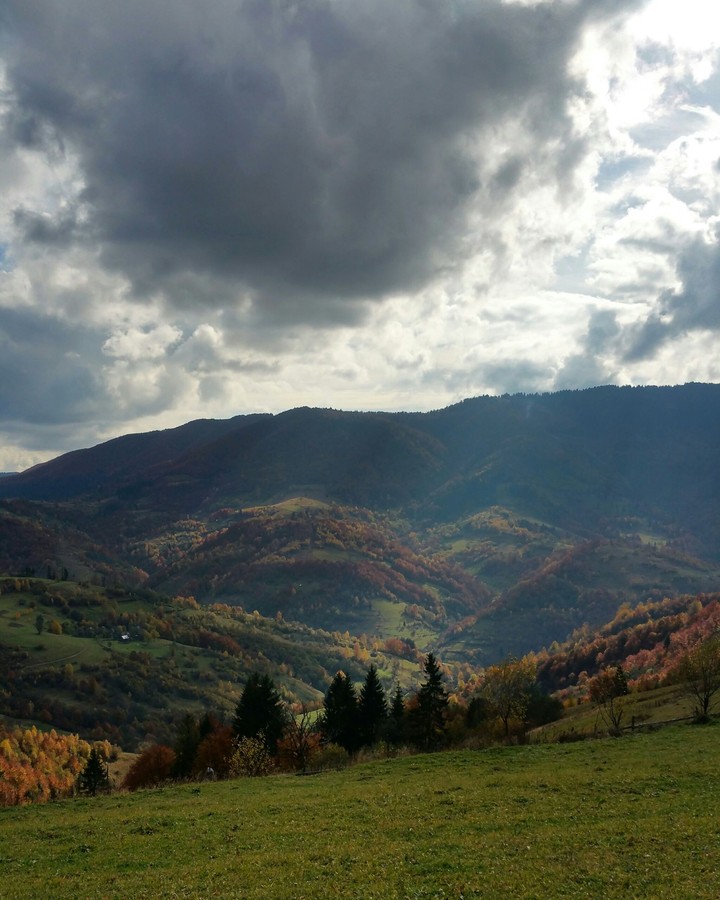 open your Carpathians