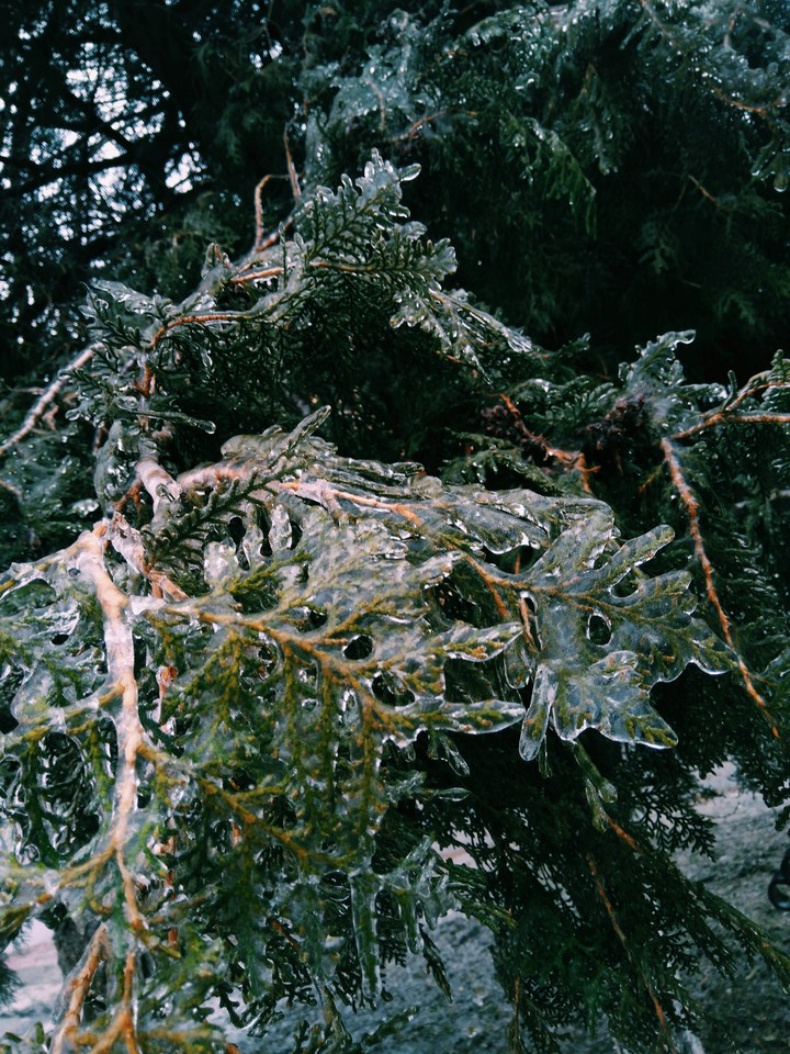 winter wonderland