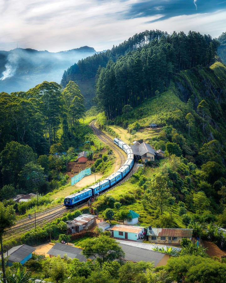 nature
