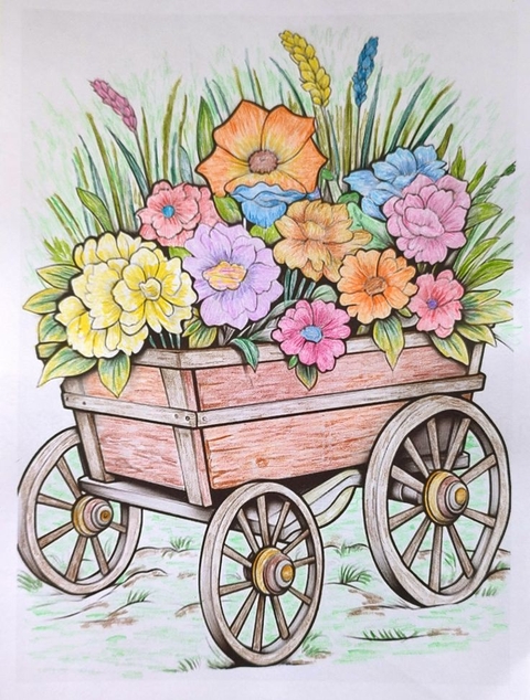 geraniums, graphics वॉलपेपर