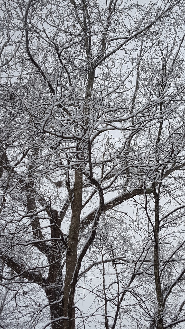winter