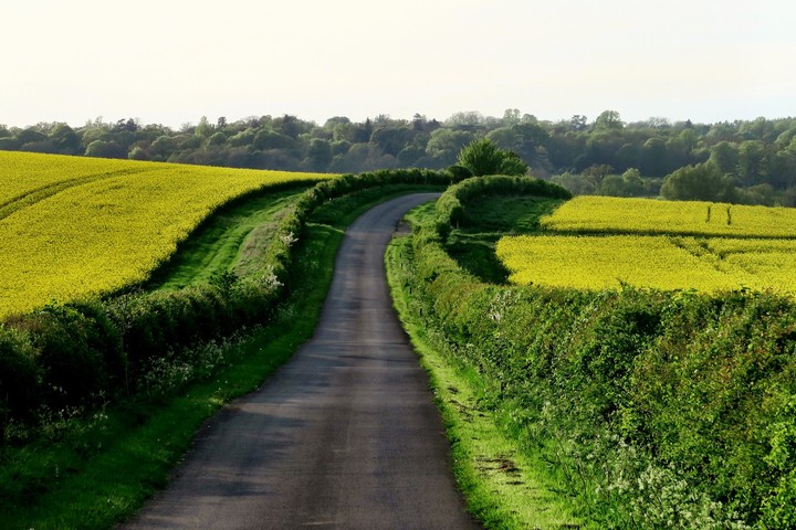 Road