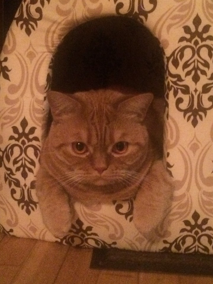 домик
