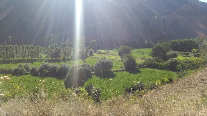 SUNSHINE