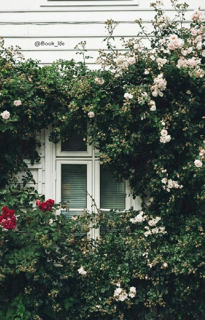 home