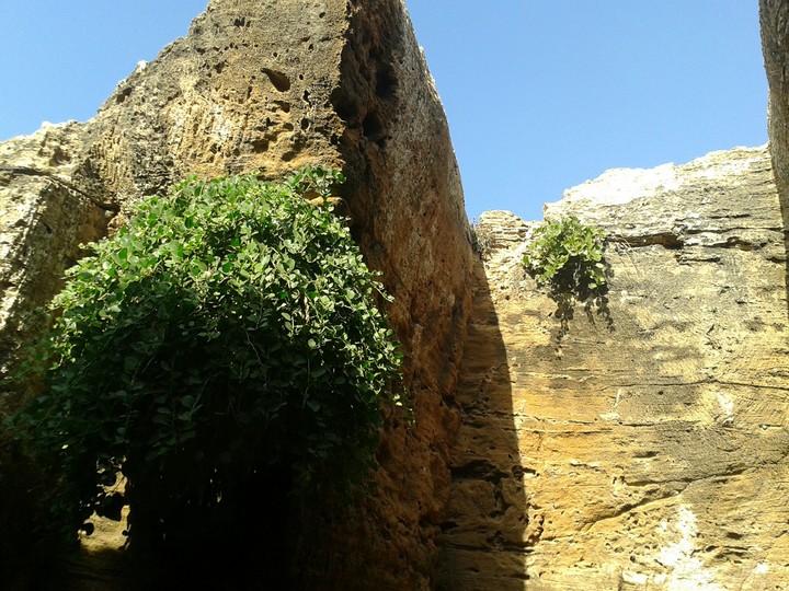 montagne