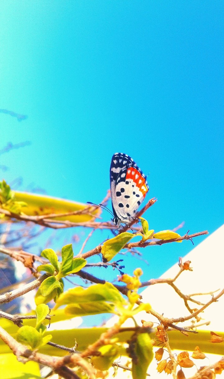 beauty of nature