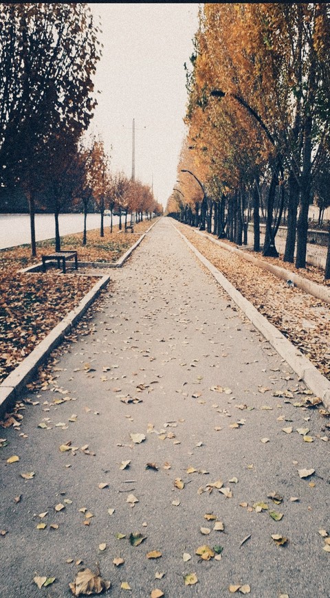 autunn