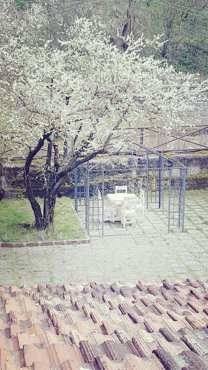 #dilijan
