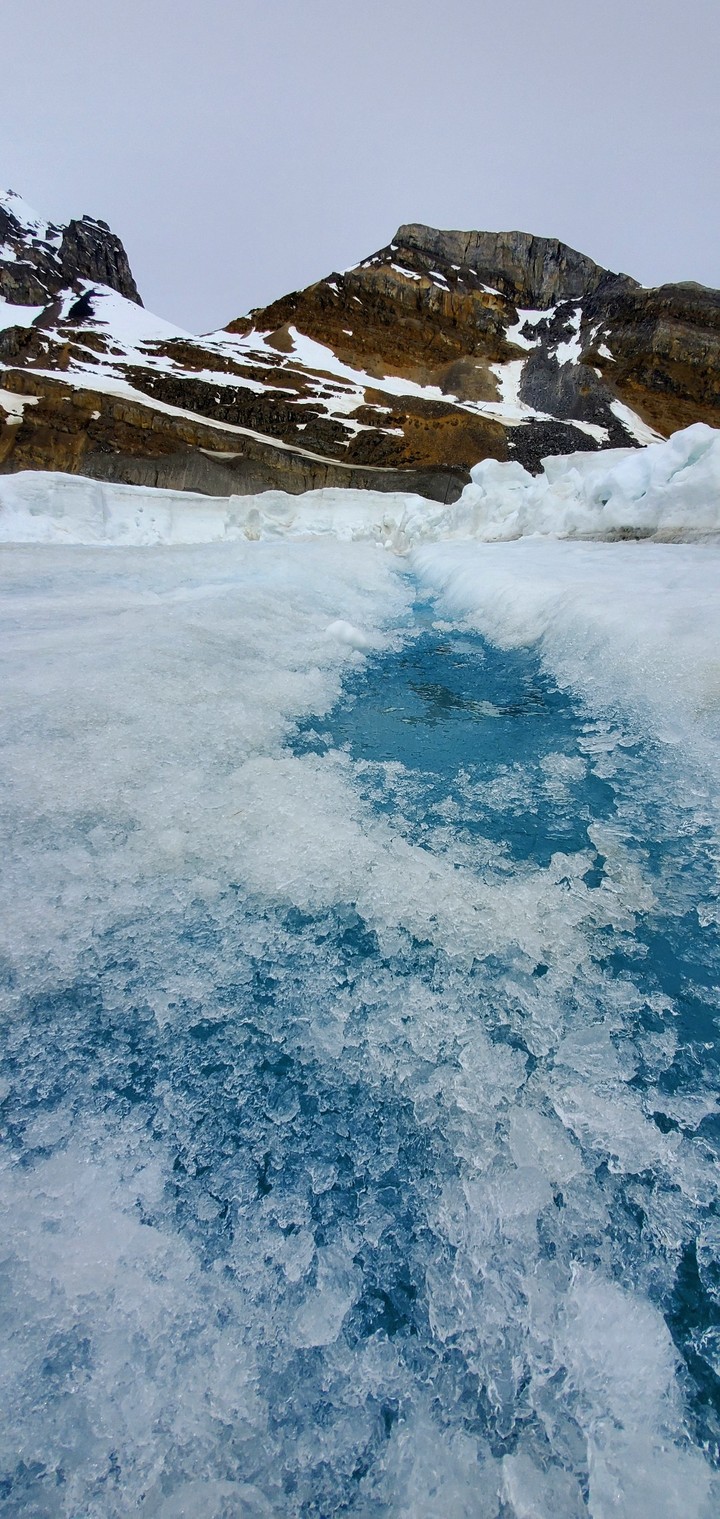 Columbia icefields in Alberta