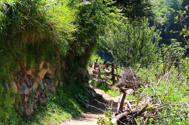 walkway