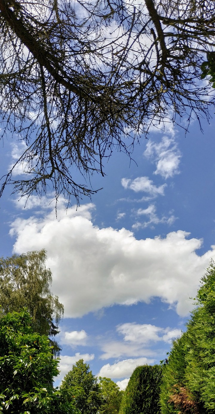 nice day