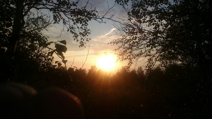 sun