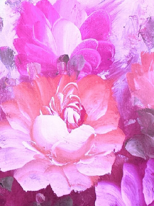 Sweet rosa