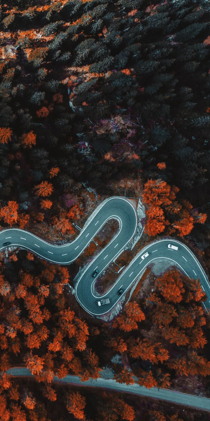 Wallpaper