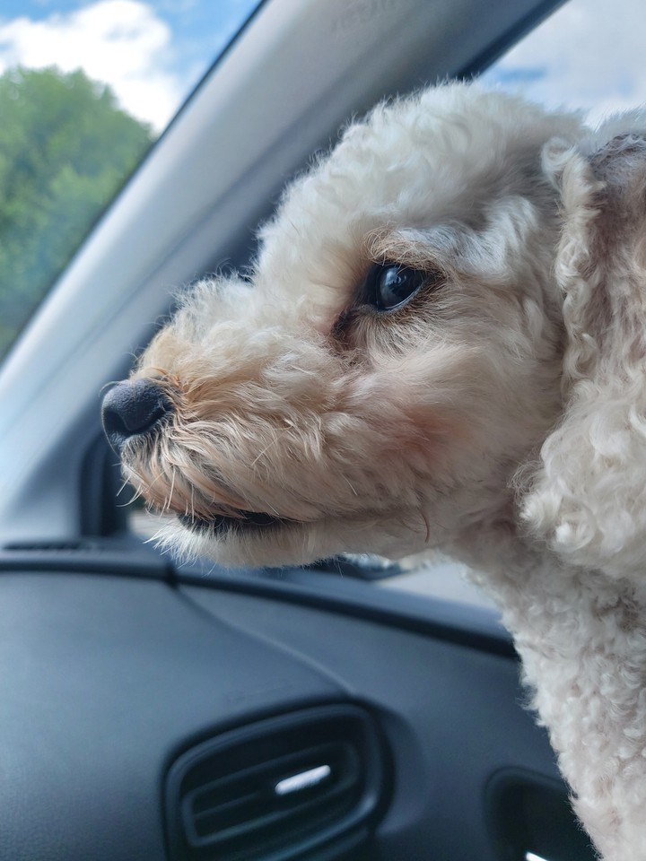 Drive
