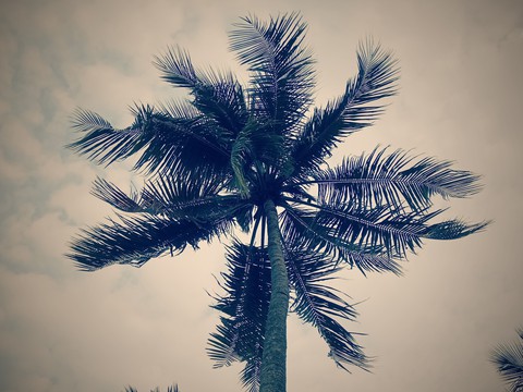 touching the sky