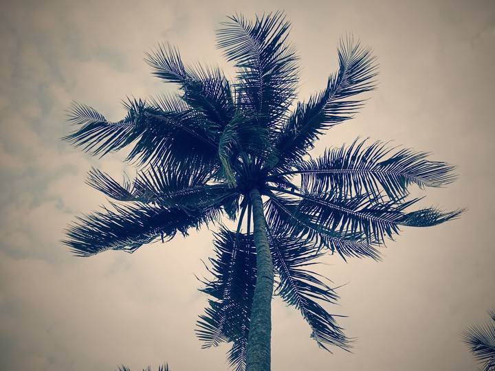 touching the sky
