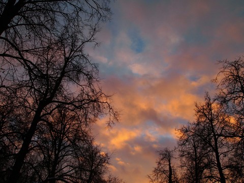 sky