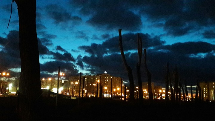 Evening in the city