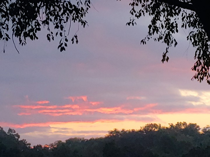 Beautiful morning