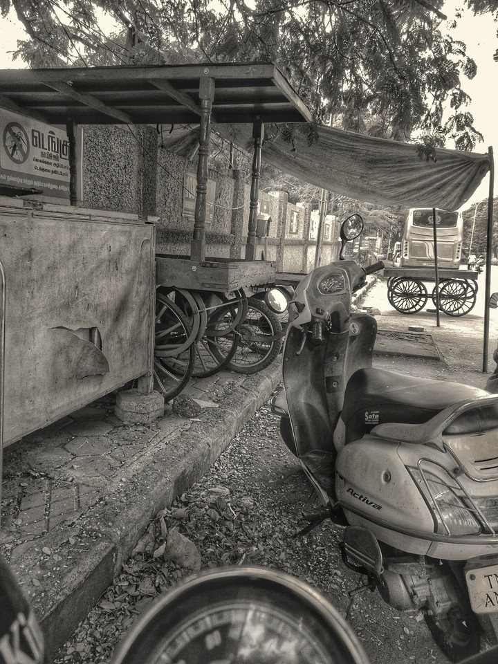 black and white photo