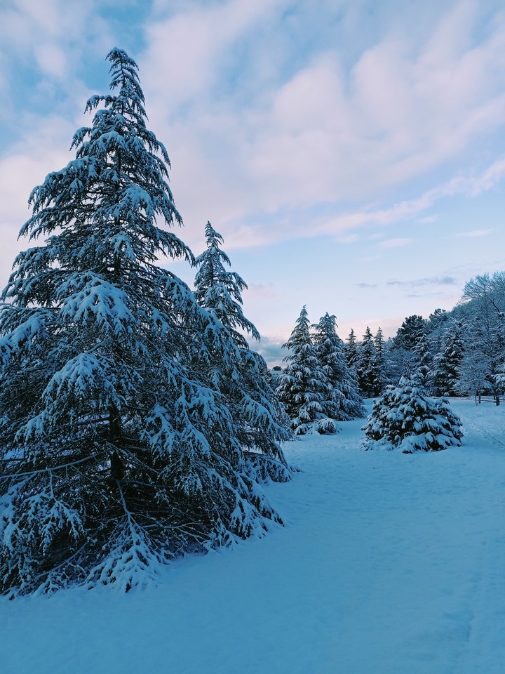 Winter