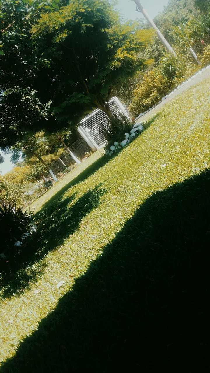 Jardim