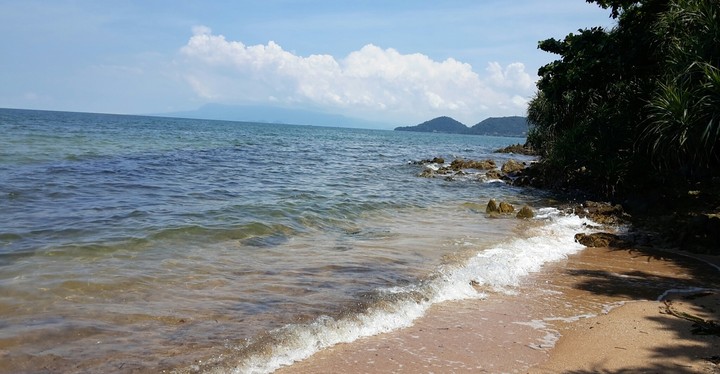 @Rabbit Island