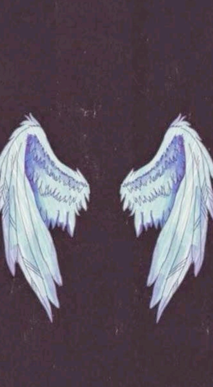 wings
