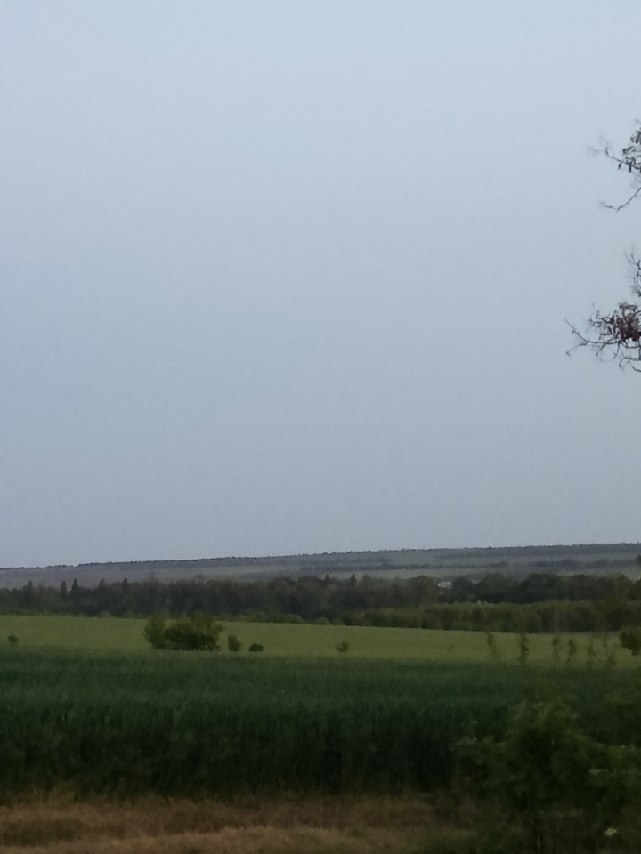 поле