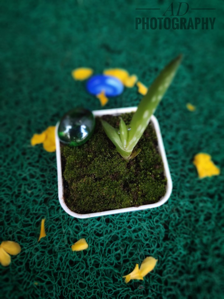 go green