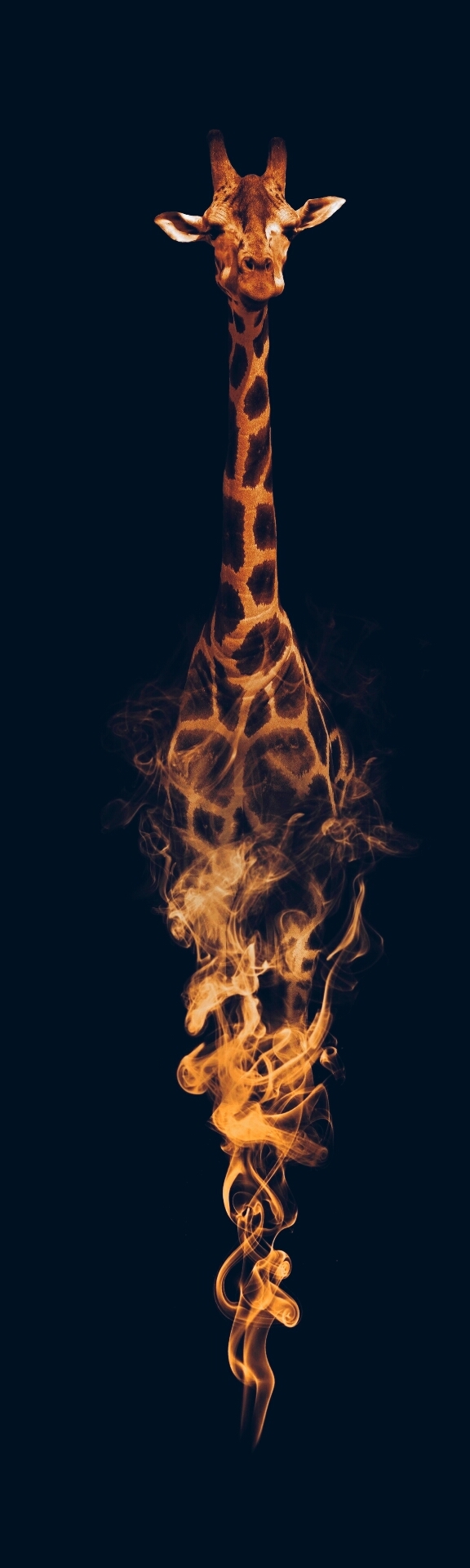 fuego