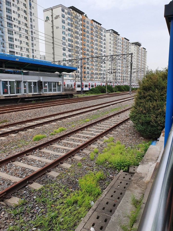 train