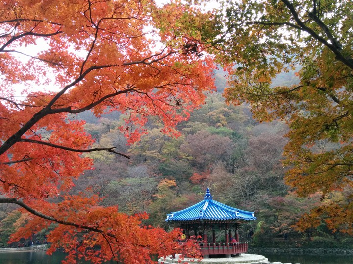 정자2