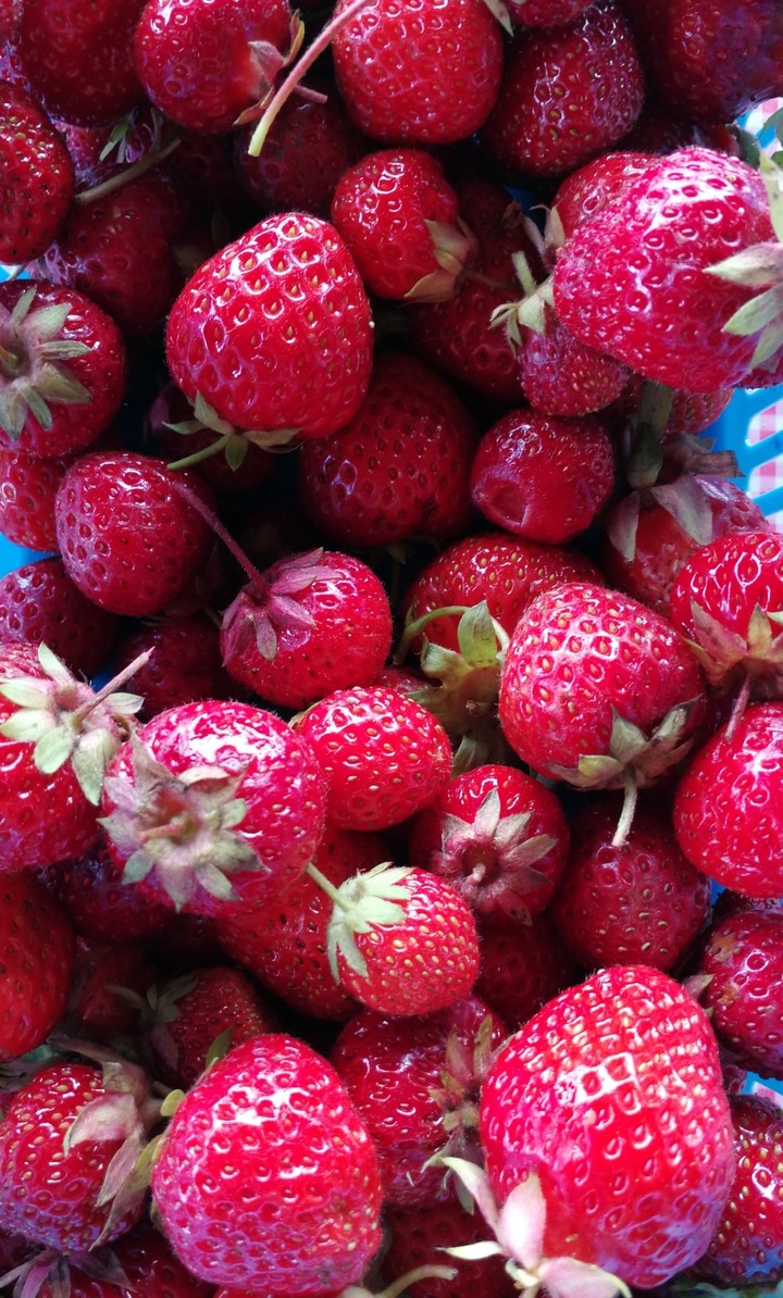 Strawberry