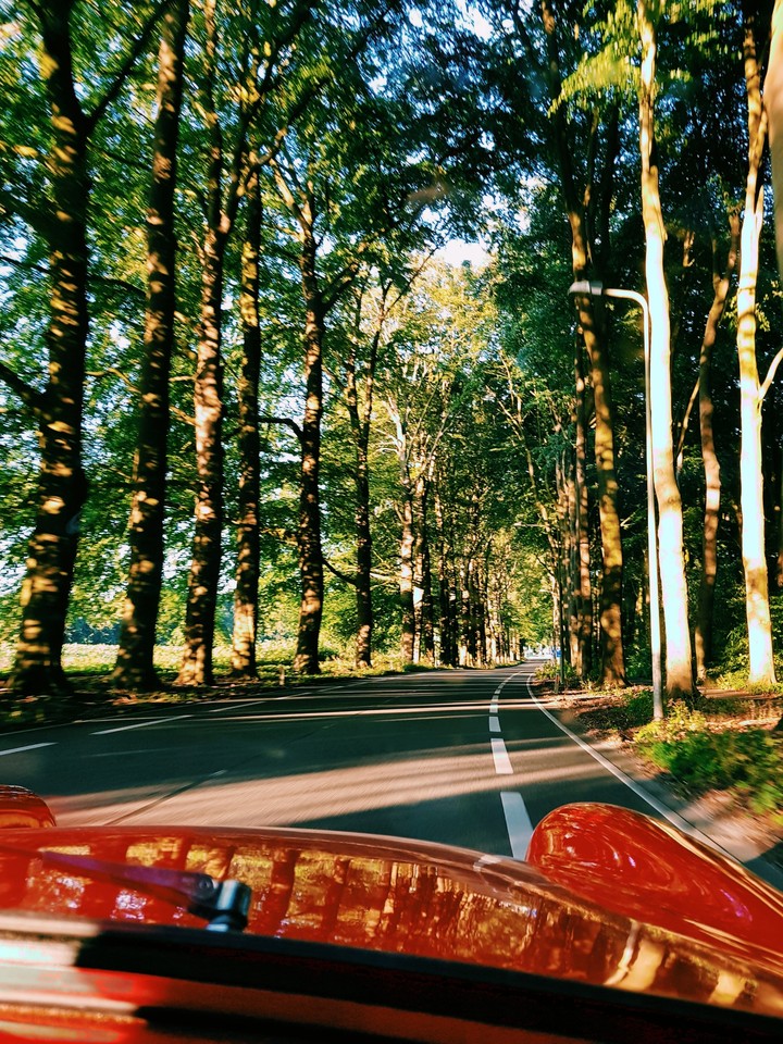 Touring in the Netherlands