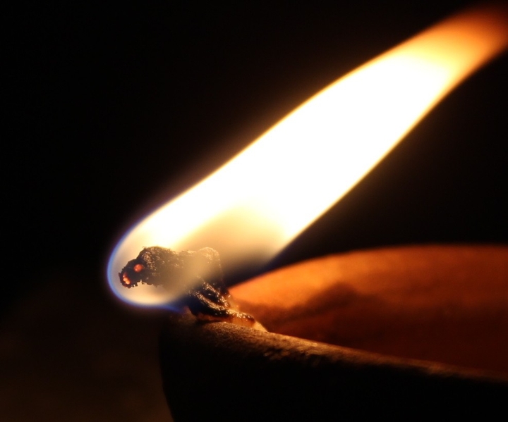 Night Light(Fire)