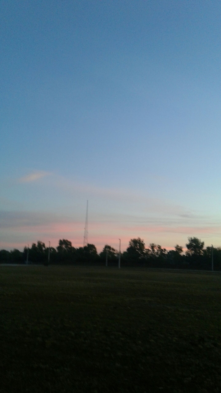 Morning glory.