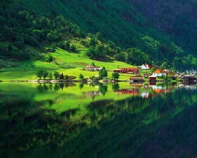 صورة من الطبيعة | A picture of nature