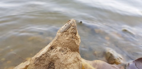 Stone of jaisalmer