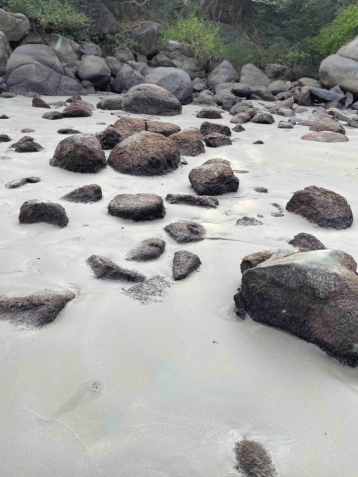 Rock Beaches