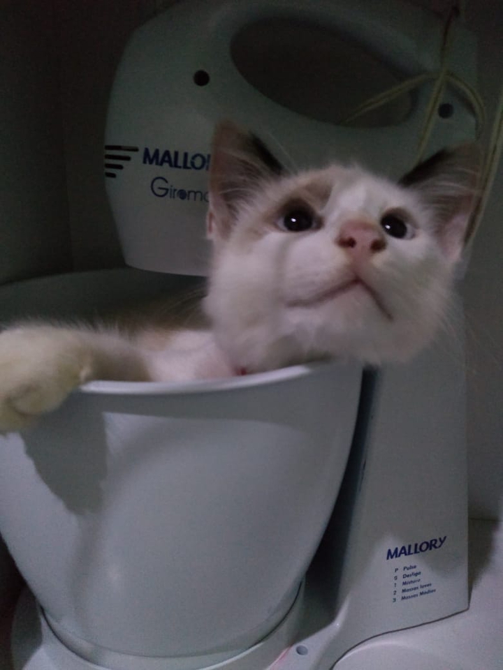 meu amorzinho ???
